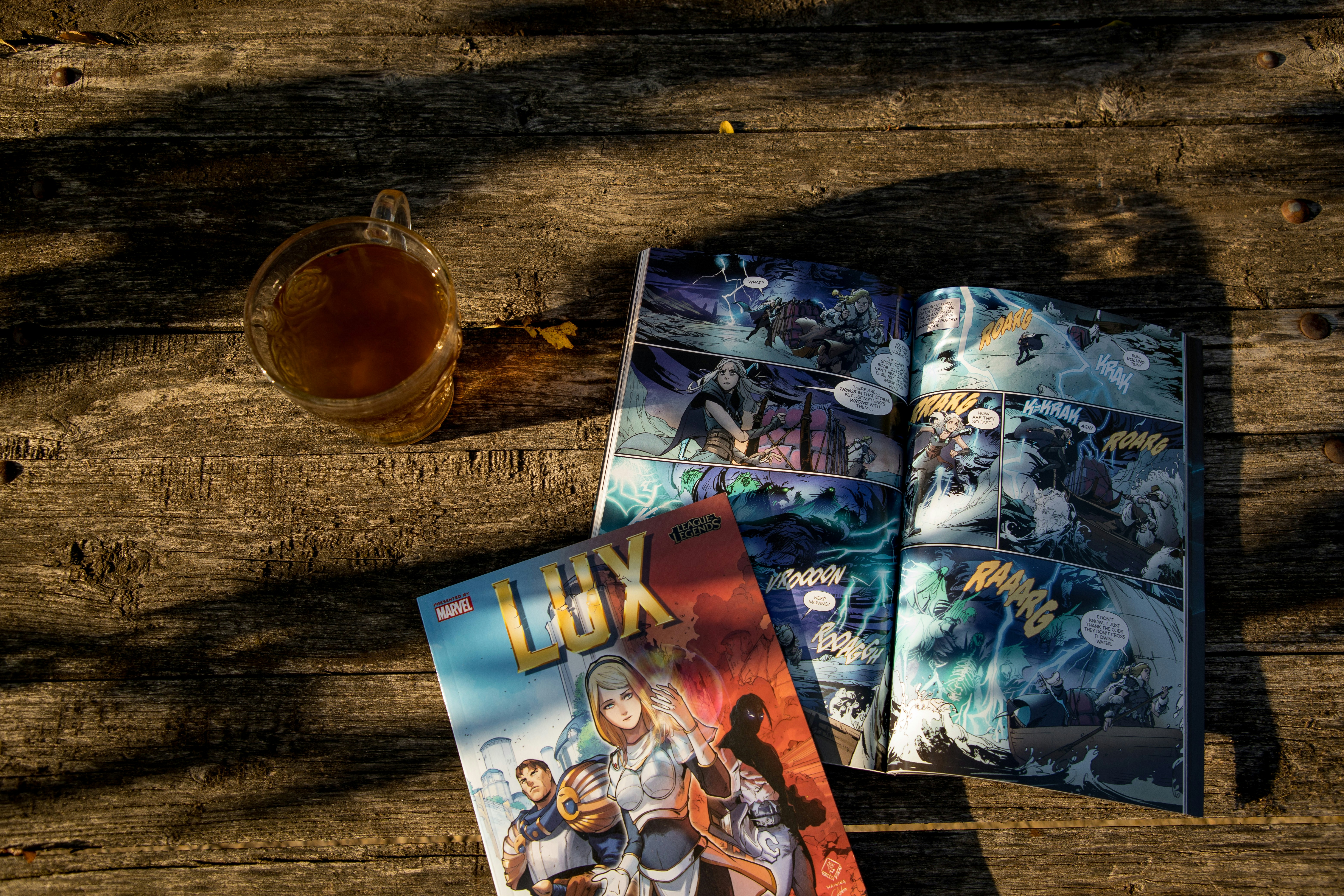 Jovan Vasiljević Photography | Lifestyle | Sunny, autumn day spent reading League of Legends comics \u0026 drinking some mint tea